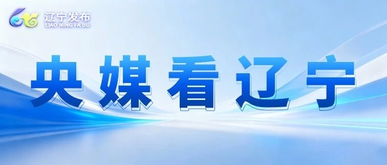 辽宁12345“民心智能体”3.0上线：4亿条诉求数据喂出自主迭代能力